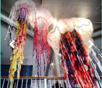 The Jellies Installation